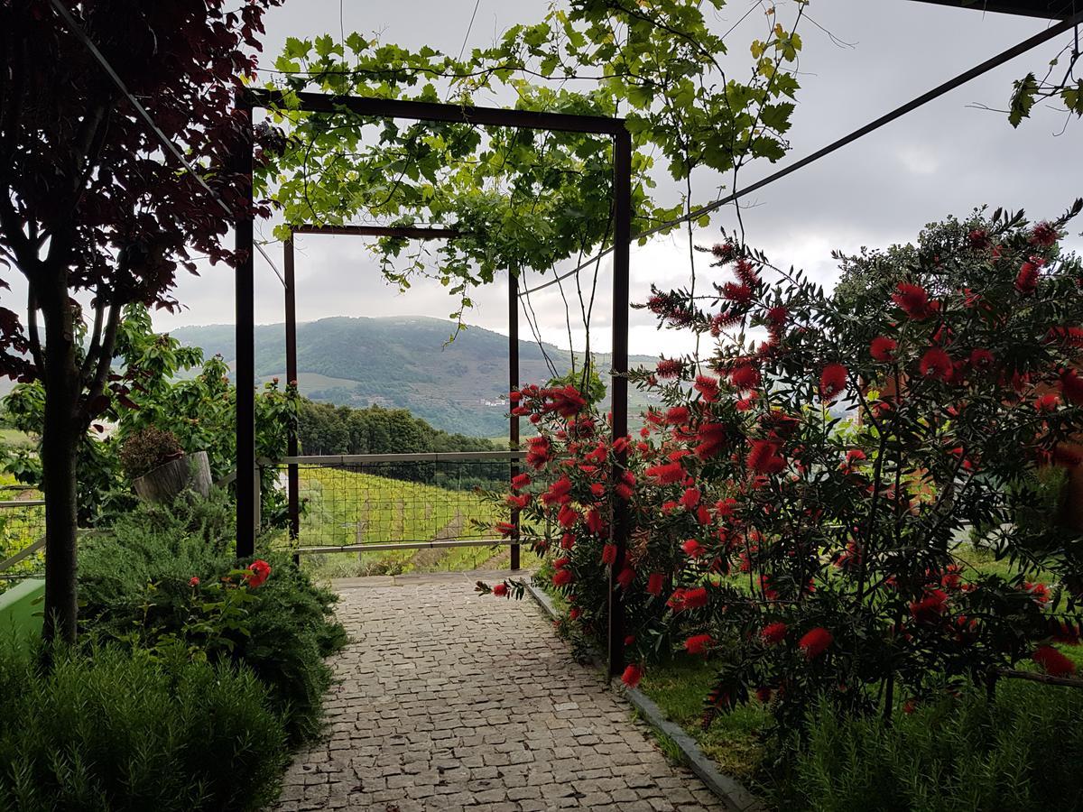 Vila Marim Country Houses Mesão Frio Kültér fotó