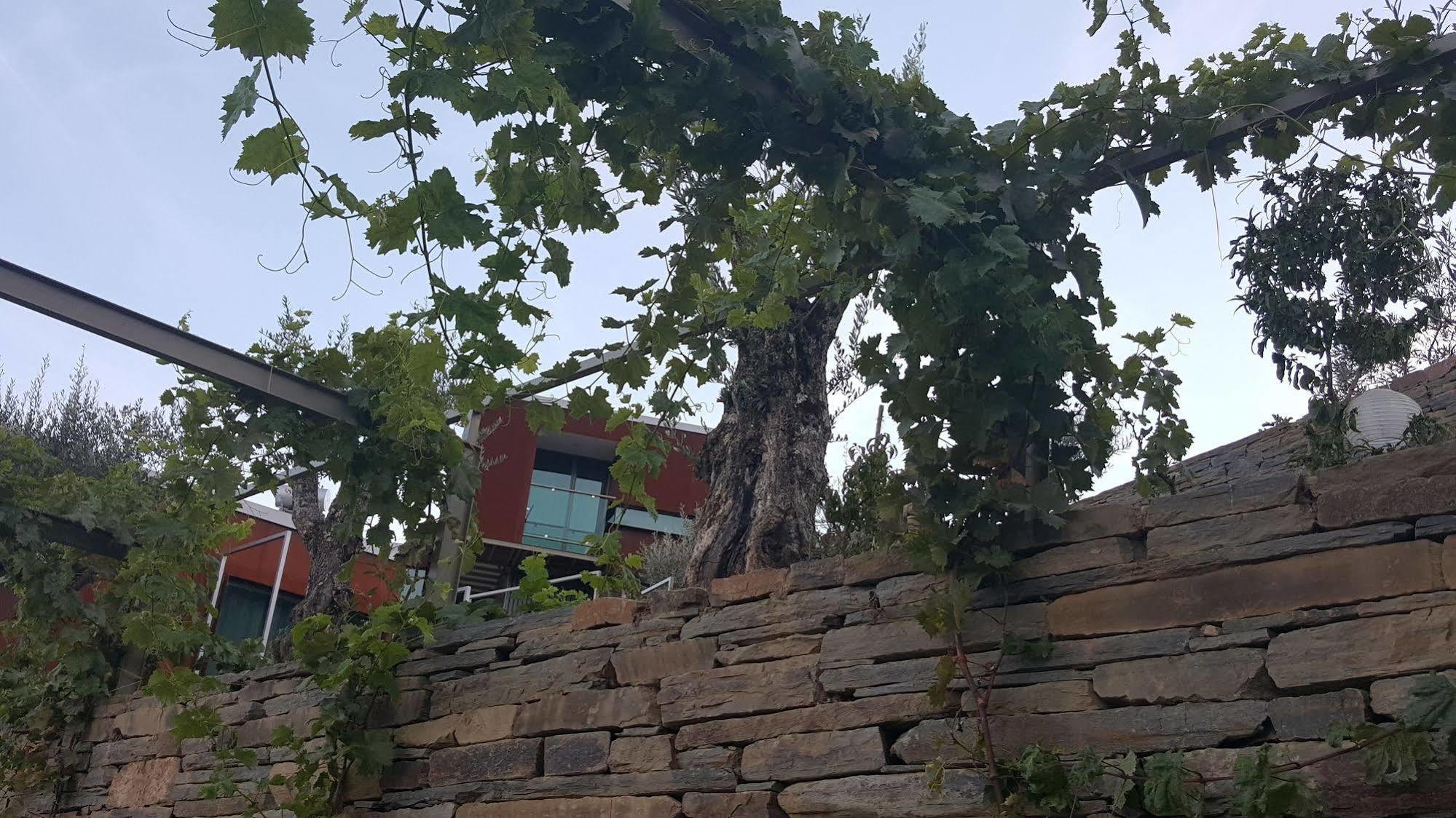 Vila Marim Country Houses Mesão Frio Kültér fotó